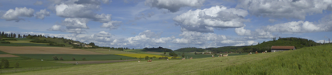 Panorama Landschaft mit Wiesen, Feldern und Wäldern