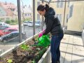 Lisa Mattes gießt das neu angepflanzte Gewächshaus