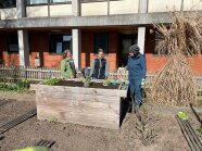 Ein Hochbeet ist frisch angepflanzt zu sehen, dahinter zwei Studierende mit ihrer Lehrerin
