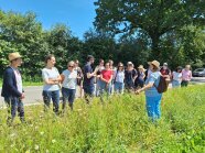 Auf einer Wiese neben einer Straße steht die Kräuterpädagogin und zeigt auf die Schafgarbe