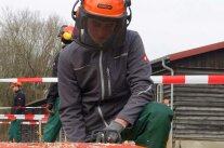 Person mit Schutzhelm vor Holzstamm