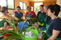 Praktische Unterrichtseinheit im Hausgartenbau zur Zimmerpflanzenpflege