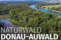 Luftbild des Donau-Auwaldes mit Schriftzug 'Naturwald Donau-Auwald'