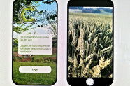 Die FAL-BY-App hilft den Landwirten beim Mehrfachantrag.