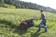 Siggi Trenkwalder mäht mit dem Motormäher eine Bergwiese.