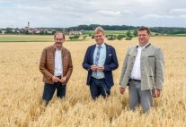 3 Männer stehen in Getreidefeld