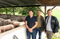 3 Männer stehen neben offenem Schweinestall