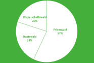 Tortendiagramm: 57 Prozent Privatwald, 23 Prozent Staatswald, 20 Prozent Körperschaftswald
