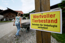 Schild mit Aufschrift "Wertvoller Tierbestand. Betreten für Unbefugte verboten" 