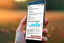 Hand hält Smartphone, auf dessen Display Wörter und ein Diagramm zu sehen sind