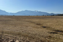 Abgeerntetes Feld, dahinter Berge 